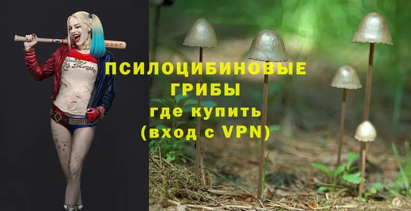 Галлюциногенные грибы Magic Shrooms  цены наркотик  hydra рабочий сайт  Вытегра 